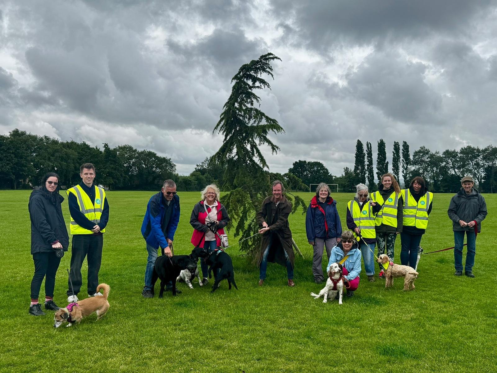 Volunteer Application